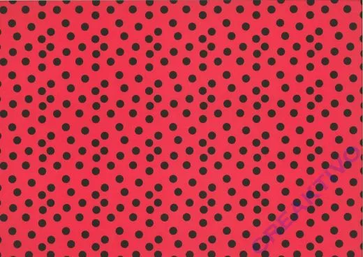 Motiv-Fotokarton 300g/qm 50x70cm Marienk�fer