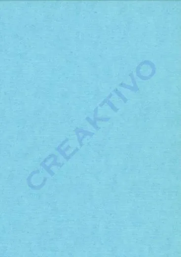 Pergamin Transparentpapier 70x100cm hellblau