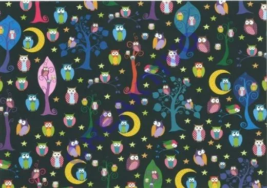 Motiv-Fotokarton 300g/qm DIN A4 Zauberwald 01 - Eulen