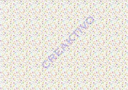 Motiv-Fotokarton 300g/qm 49,5x68cm Tiny 07 - Schmetterlinge (Restbestand)