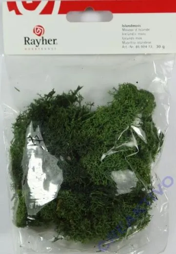 Islandmoos gr�n
