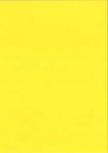 Heyda Universalkarton 220g/qm DIN A4 sonnengelb