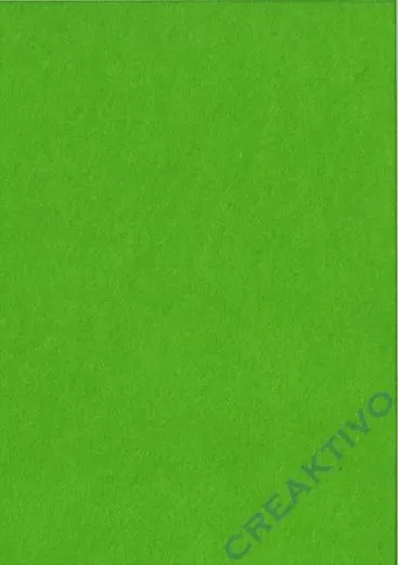 Rayher Textilfilz 2mm Bogen 30x45cm hellgr�n