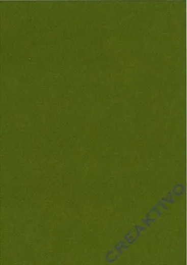 Rayher Textilfilz 2mm Bogen 30x45cm antikgr�n