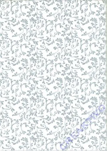 Transparentpapier A4 Roma silber