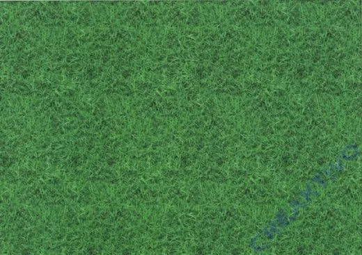 Motiv-Fotokarton 300g/qm 49,5x68cm Rasen