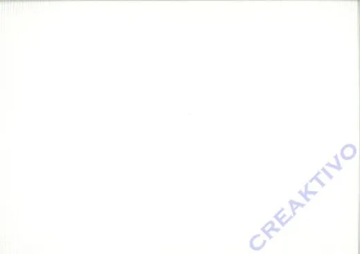 Bastelwellkarton 50x70 cm wei�