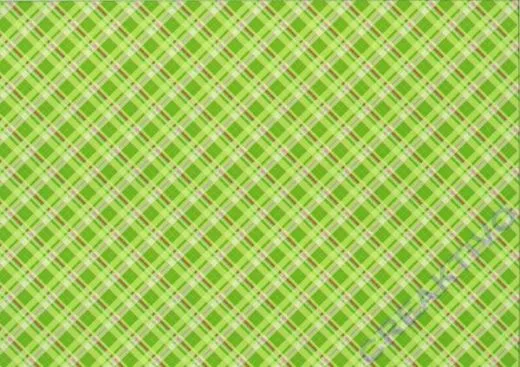 Motiv-Fotokarton 300g/qm 50x70cm Karos & Punkte gr�n