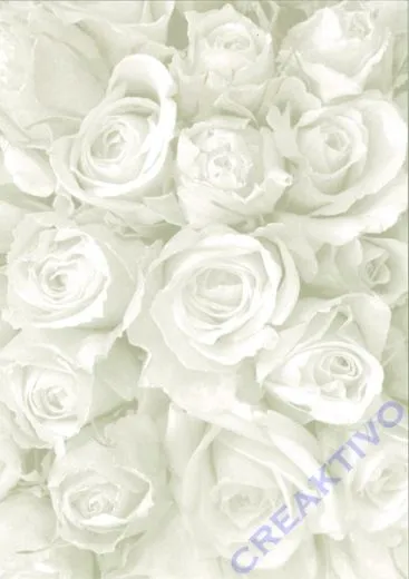 Bastelkarton Starlight Hochzeit - Rosen wei�/silber (Restbestand)