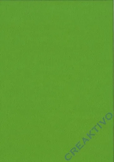Bastelfilz Bogen 20x30 1mm maigr�n
