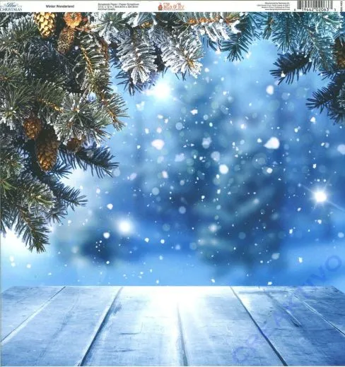 Ella & Viv Blue Christmas Single-Sided Cardstock 12X12 - Winter Wonderland