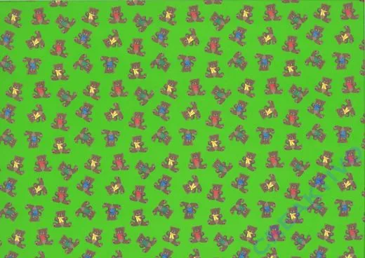 Motiv-Fotokarton B�rchen 49,5 x 68cm