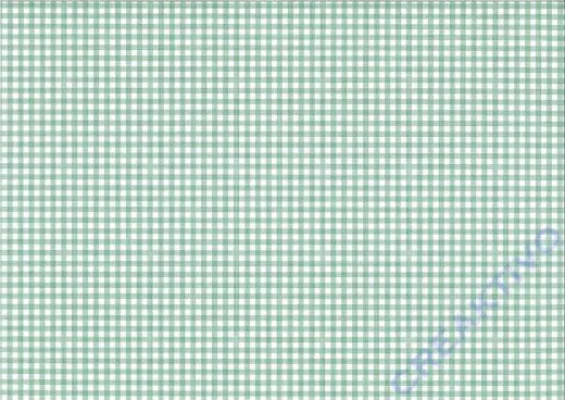 Karo-Fotokarton Mini 300g/qm 49,5x68cm gr�n/wei�