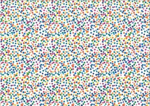 Motiv-Fotokarton 300g/qm 50x70cm Bunte Blumen