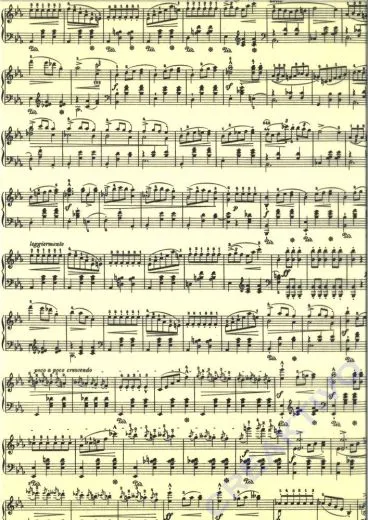 Transparentpapier Noten - chamois/schwarz