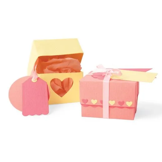Sizzix Thinlits Plus Die Set 10PK – Box & Labels