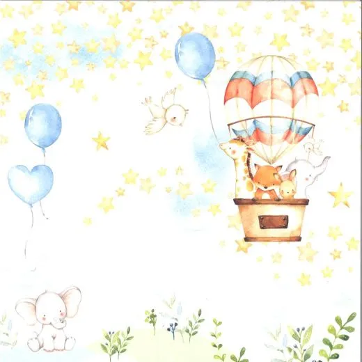 Craft&You Baby Adventure Scrapbooking Papier Motiv 01