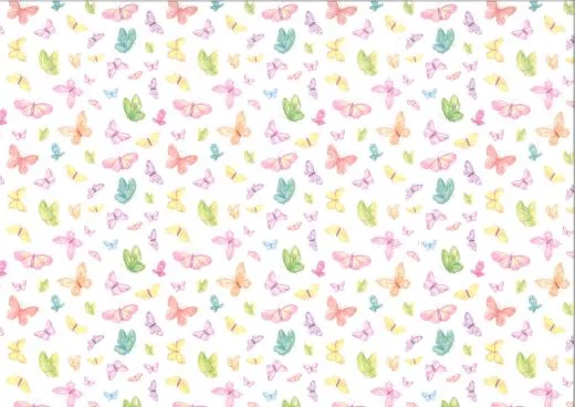 Motiv-Fotokarton 300g/qm 49,5x68cm Schmetterlinge