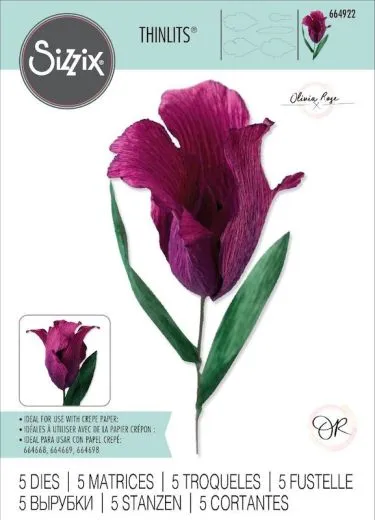 Sizzix Thinlits Die Set 5PK - Fringed Tulip