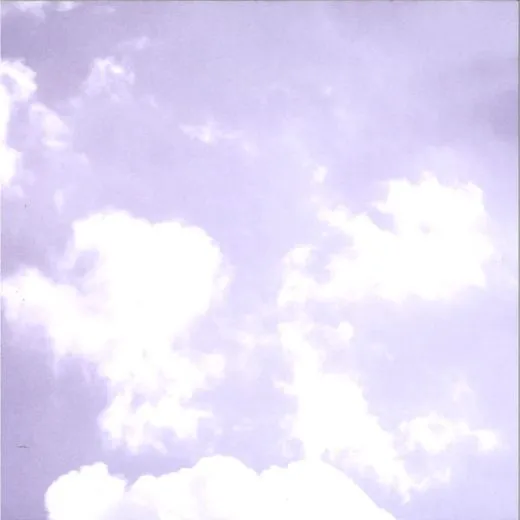 Scrapbooking-Papier Lilac garden MT-LIL-05