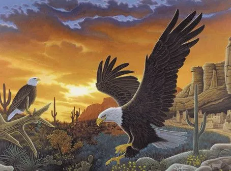 Malen nach Zahlen - Adler
