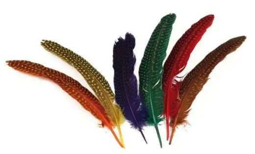 Tupfenfedern 17-22cm 12 St�ck