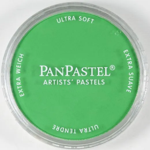 PanPastel Ultra Soft K�nstler Pastellfarbe im Napf - permanent green