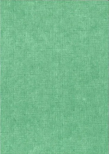 Struktura Vintage 220g/qm DIN A4 grasgr�n