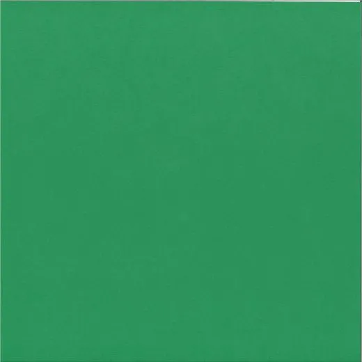 Strukturierter Karton holly