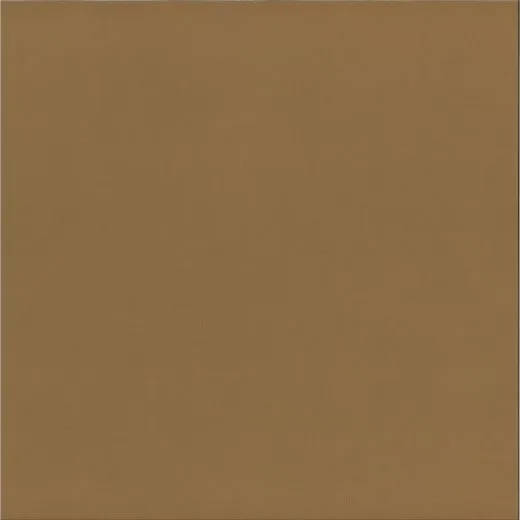 Strukturierter Karton lion