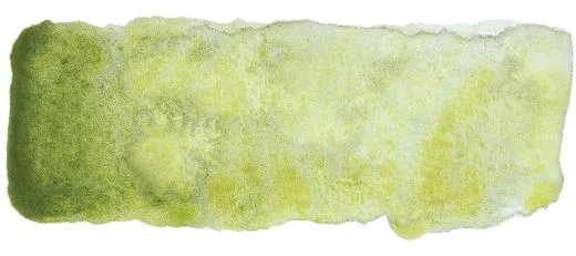HORADAM Aquarell 1/2 N�pfchen - Auen Oliv