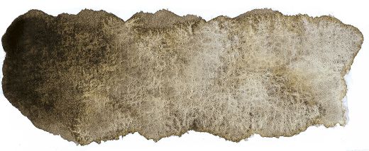 HORADAM Aquarell Tube 5ml - Nebel Braun