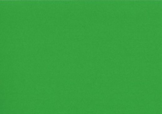 25 Bogen Heyda Fotokarton 50x70 cm 300g/m� mittelgr�n
