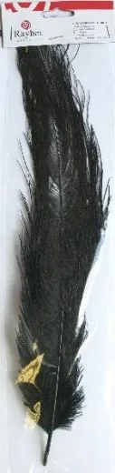 Straussenfeder 30cm 1 St�ck schwarz