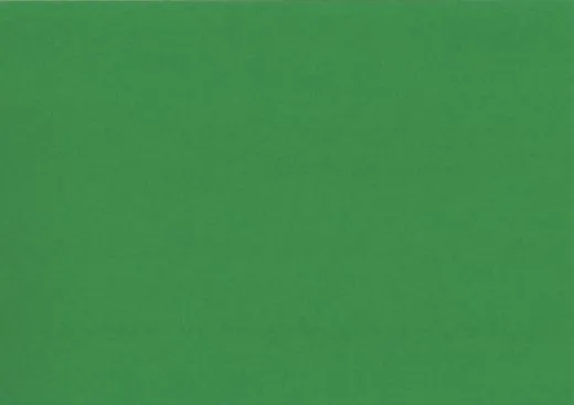 Heyda Tonpapier 50x70 cm 130g/m� laubgr�n
