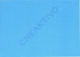 Motiv-Fotokarton 300g/qm DIN A4 Zauberwald 02 - Waschb�ren