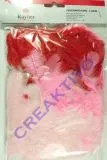 Federmischung 3-10cm Rot-T�ne