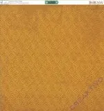 Scrapbooking Papier Safari - Kingdom