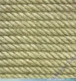 KaiserCraft Scrapbookingpapier Sail Away Collection - P1983 Nautical