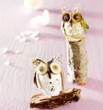Naturminis