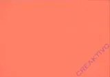 URSUS Fotokarton 50x70 cm 300g/m� koralle