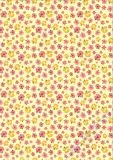 Fotokarton Tropical - Motiv 02