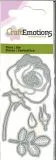 Stanze Rose