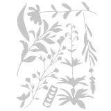 Sizzix Thinlits Die Set 8PK - Spring Stems