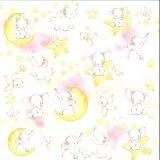 Craft&You Baby Adventure Scrapbooking Papier Motiv 06