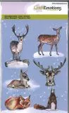 Clearstamps A6 - Waldtiere