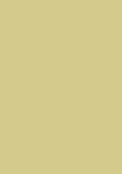 Heyda Tonpapier DinA4 130g/m� gold matt