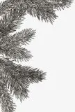 Sizzix 3-D Texture Fades Embossing Folder - Pine Branches by Tim Holtz