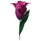 Sizzix Thinlits Die Set 5PK - Fringed Tulip