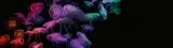 FINETEC Premium Aquarellfarbset Neon | 6 Farben